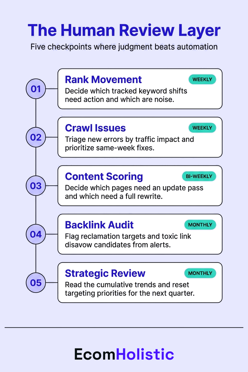 Vertical infographic showing the five scheduled checkpoints in the human review layer of an SEO automation workflow: weekly rank movement, weekly crawl triage, bi-weekly content review, monthly backlink audit, monthly strategic review